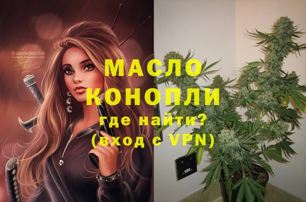 крисы Горняк