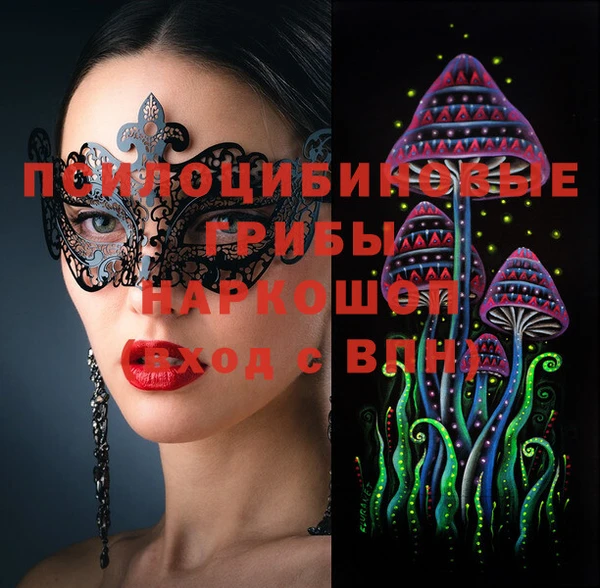 крисы Горняк
