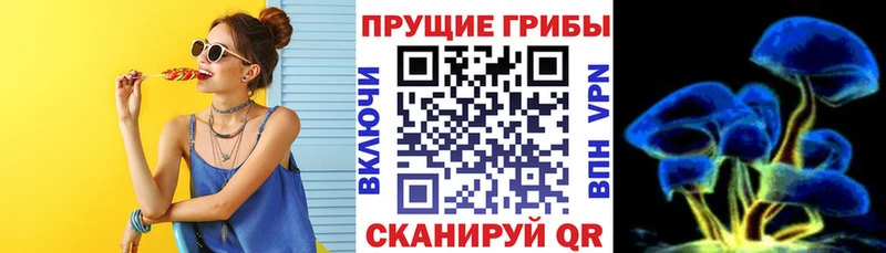 Галлюциногенные грибы Cubensis  Купить где  Нижняя Тура 